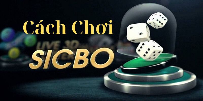 Luật chơi sicbo cho người mới