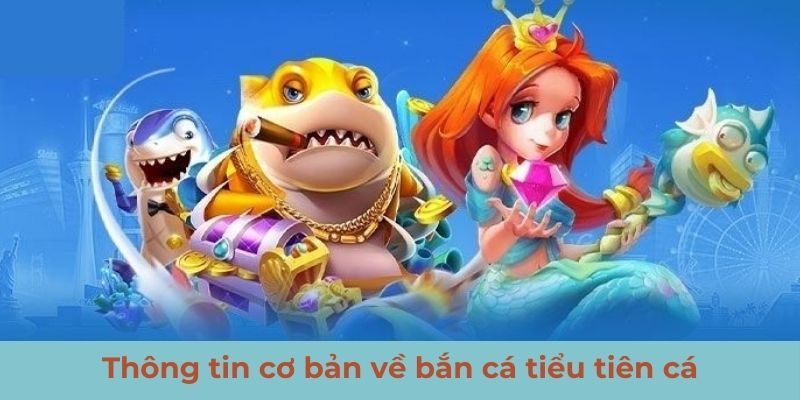 Thông tin cơ bản về bắn cá tiểu tiên cá